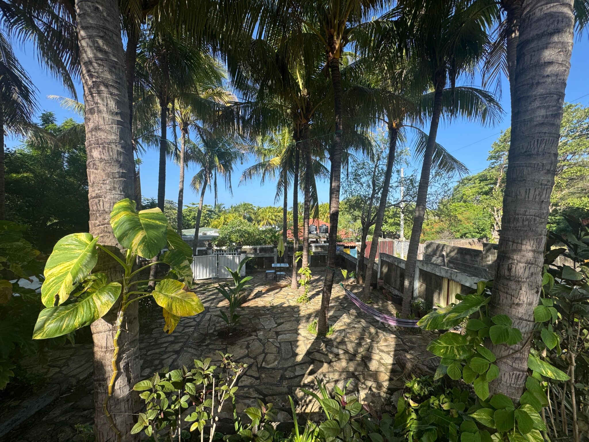 Casa de Los Cocos patio